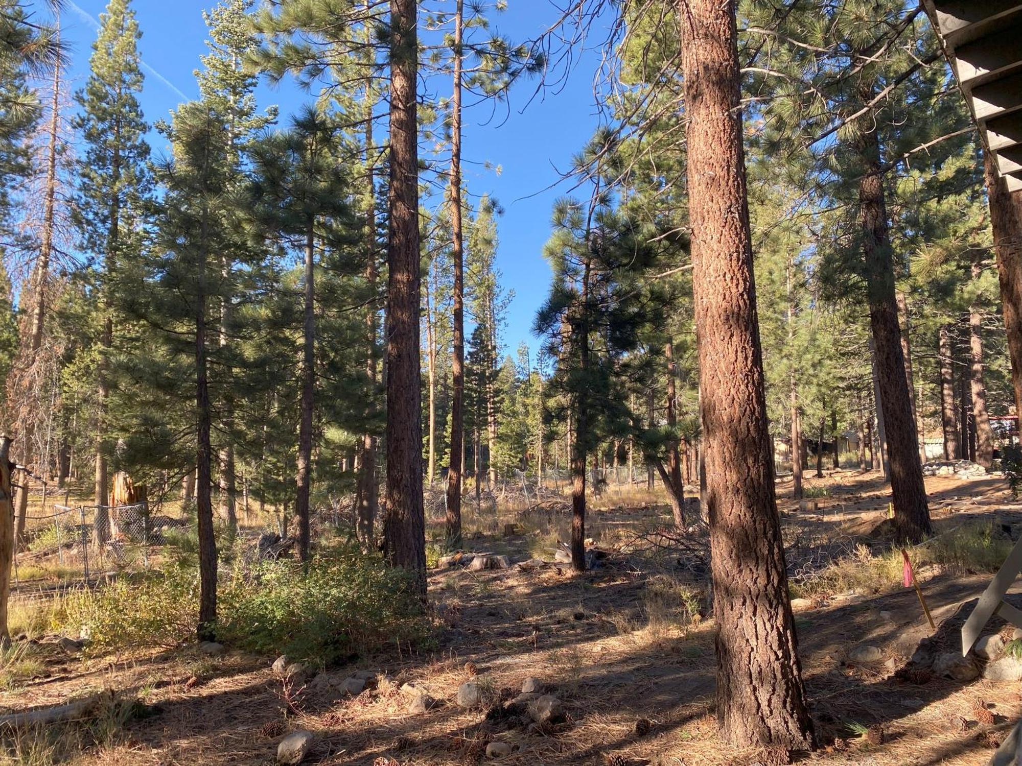 Cinnamon Bear Inn Μαμούθ Λέικς Εξωτερικό φωτογραφία