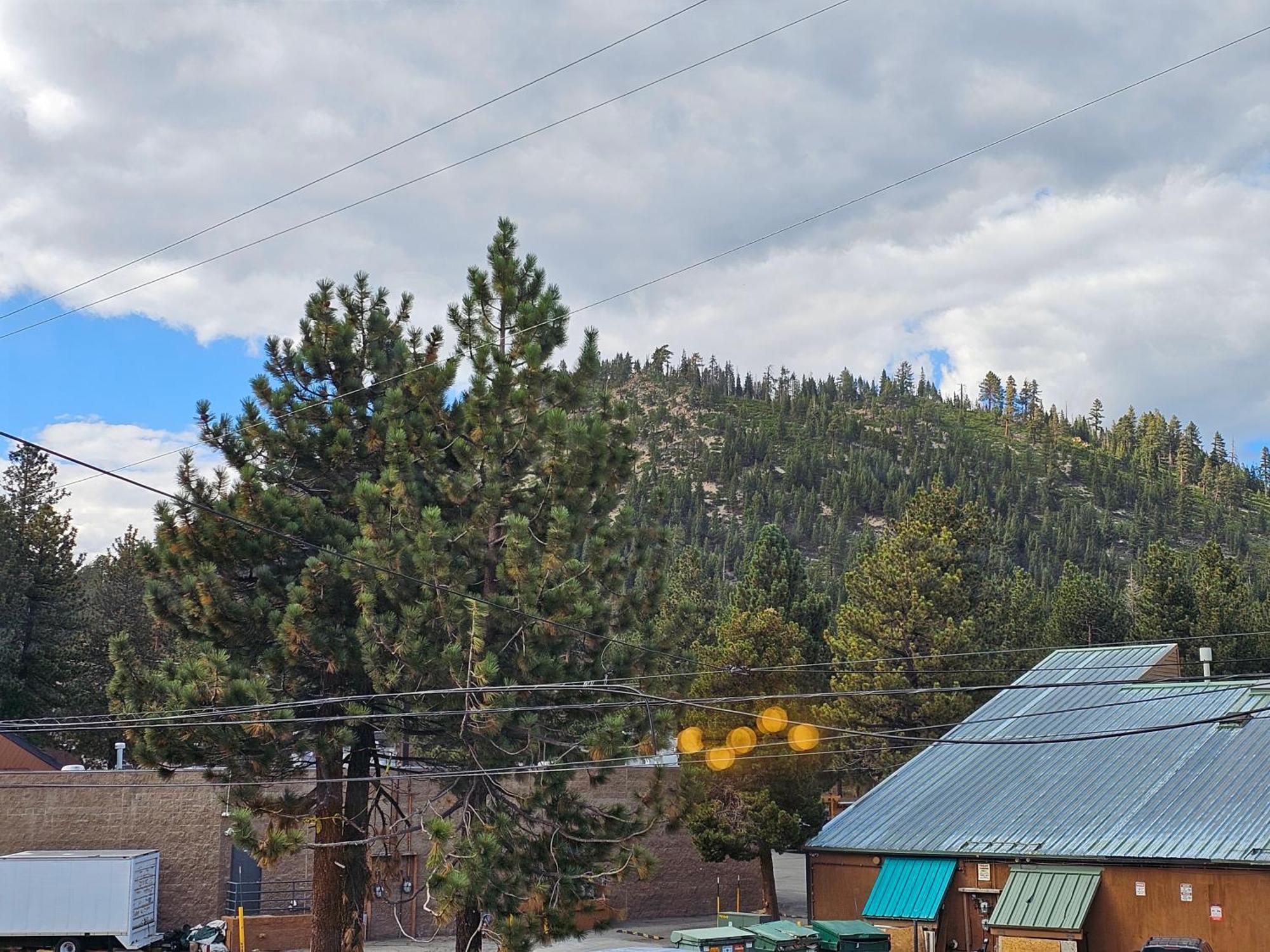 Cinnamon Bear Inn Μαμούθ Λέικς Εξωτερικό φωτογραφία